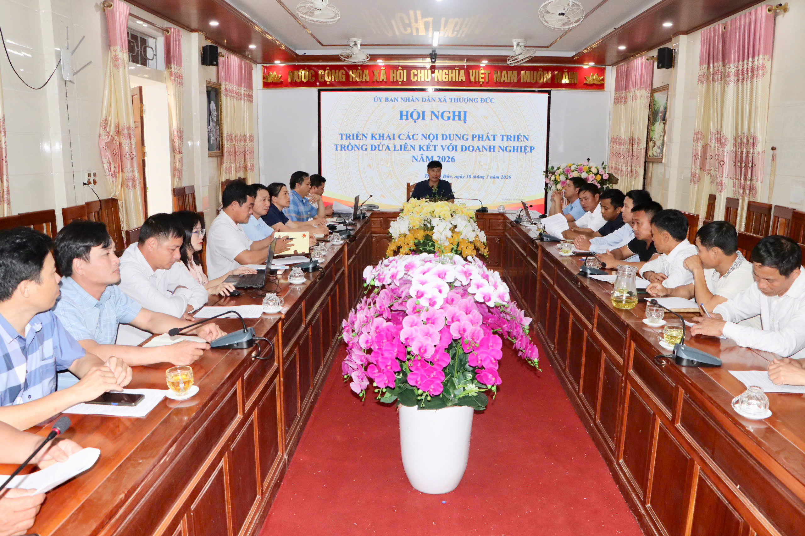 UBND xã Thượng Đức triển khai các nội dung phát triển trồng Dứa liên kết với doanh nghiệp năm 2026.