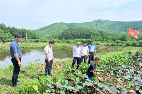 Đồng chí Chủ tịch UBND xã Nguyễn Thanh Sơn thăm, kiểm tra các mô hình kinh tế trên địa bàn. 